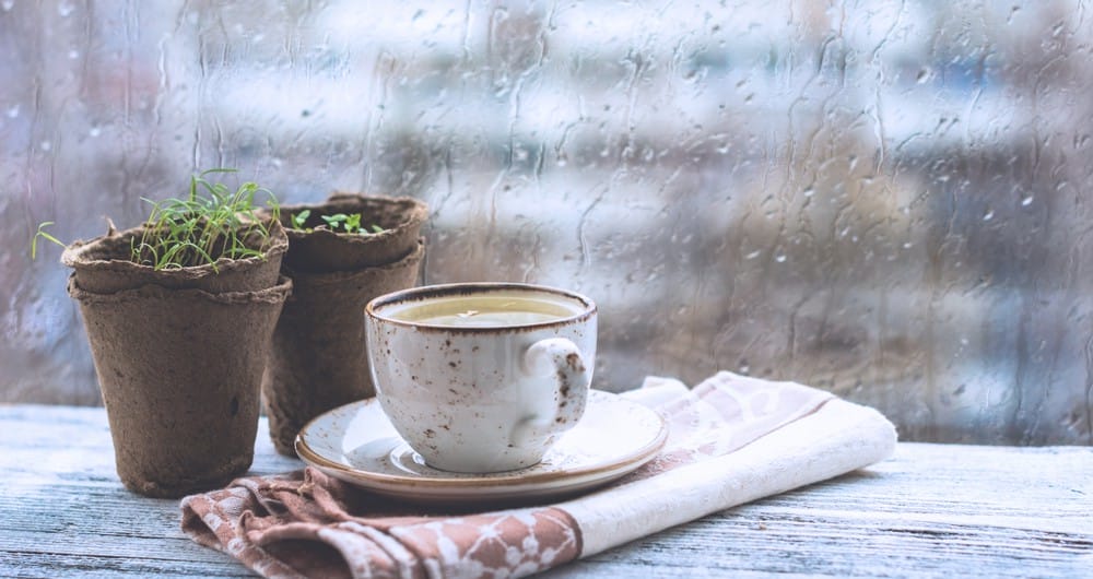 7 Tips To Make Your Home Monsoon Ready!